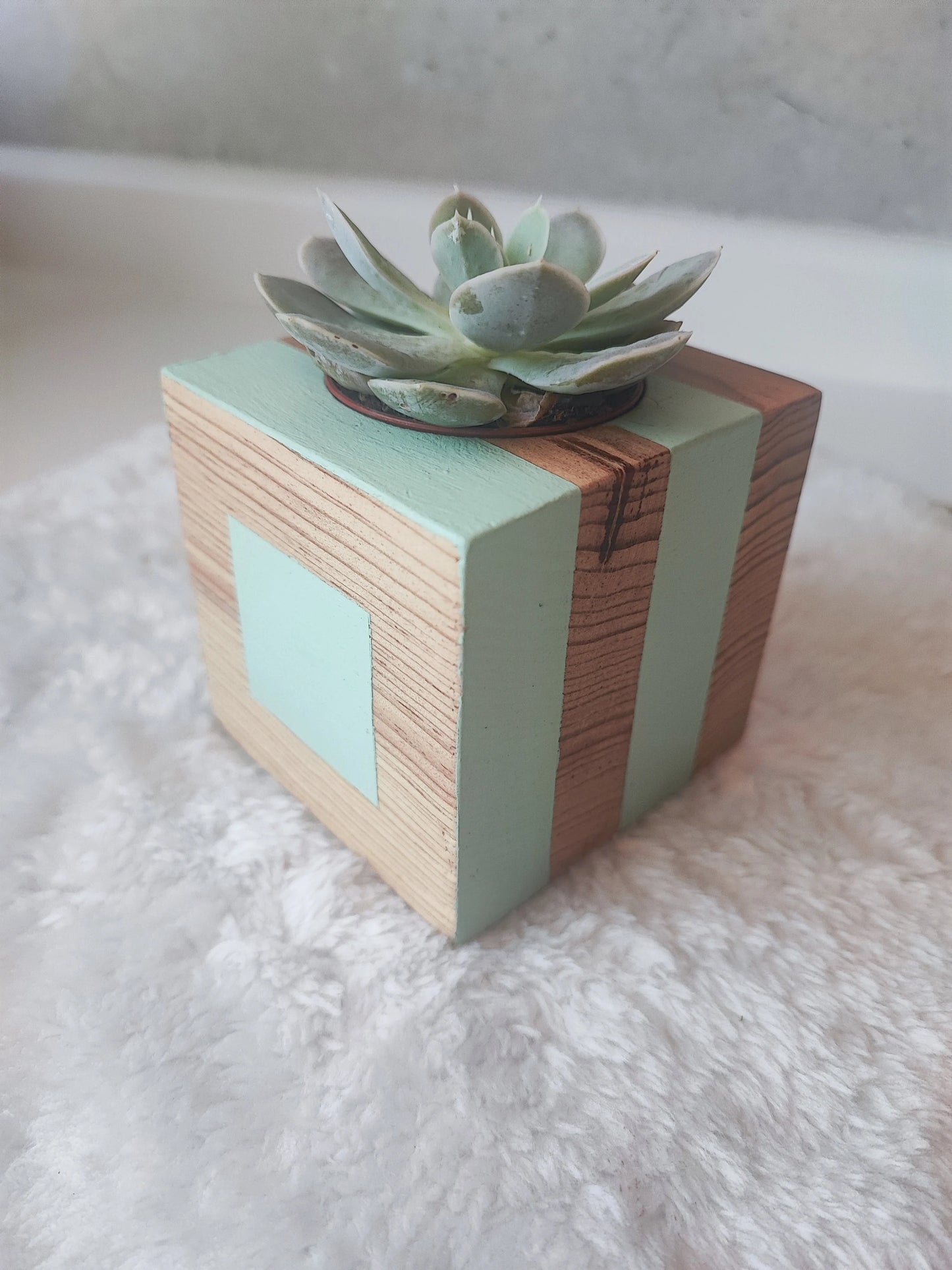 La belle Jade Tacoceta