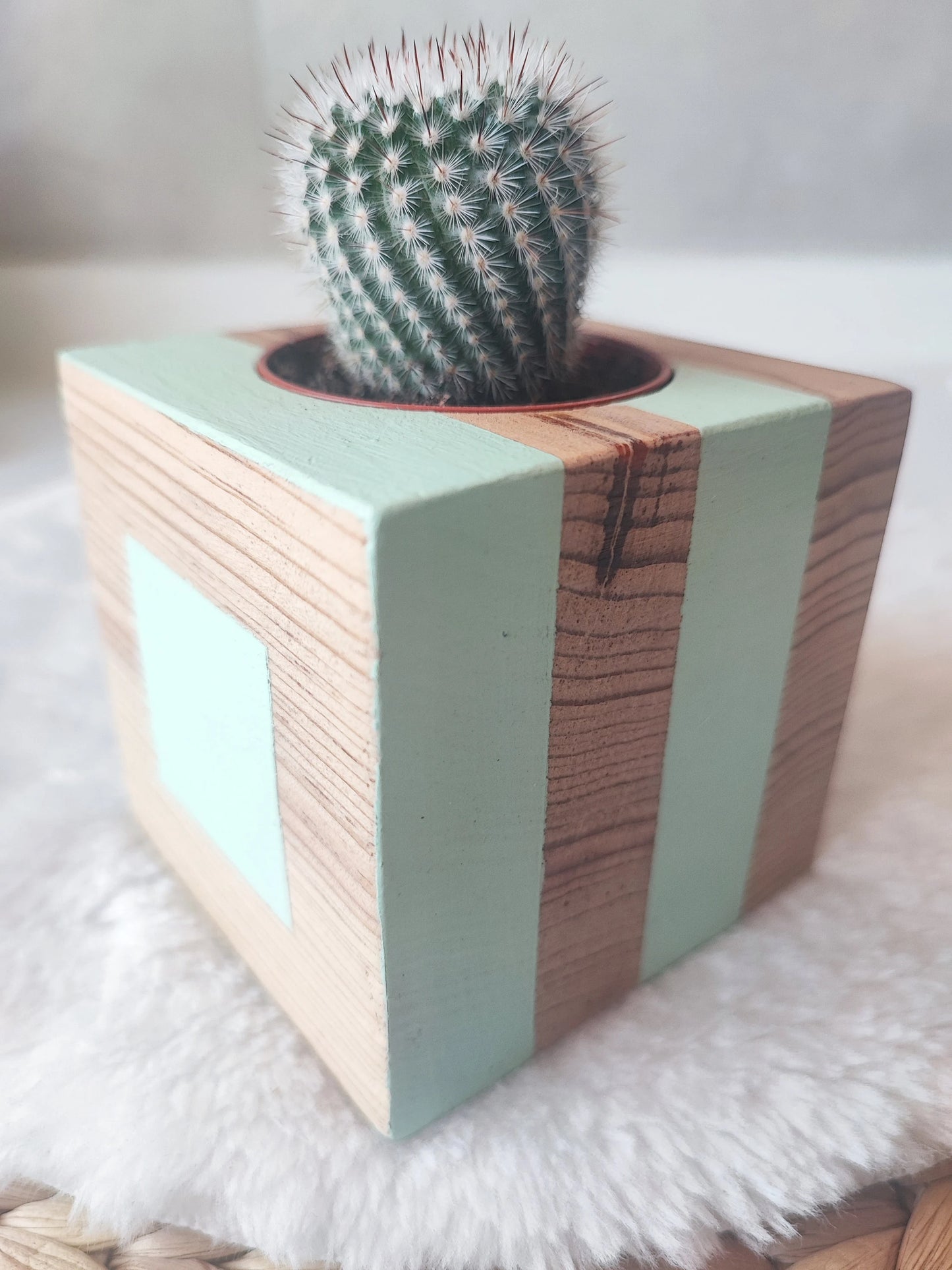 La belle Jade Tacoceta