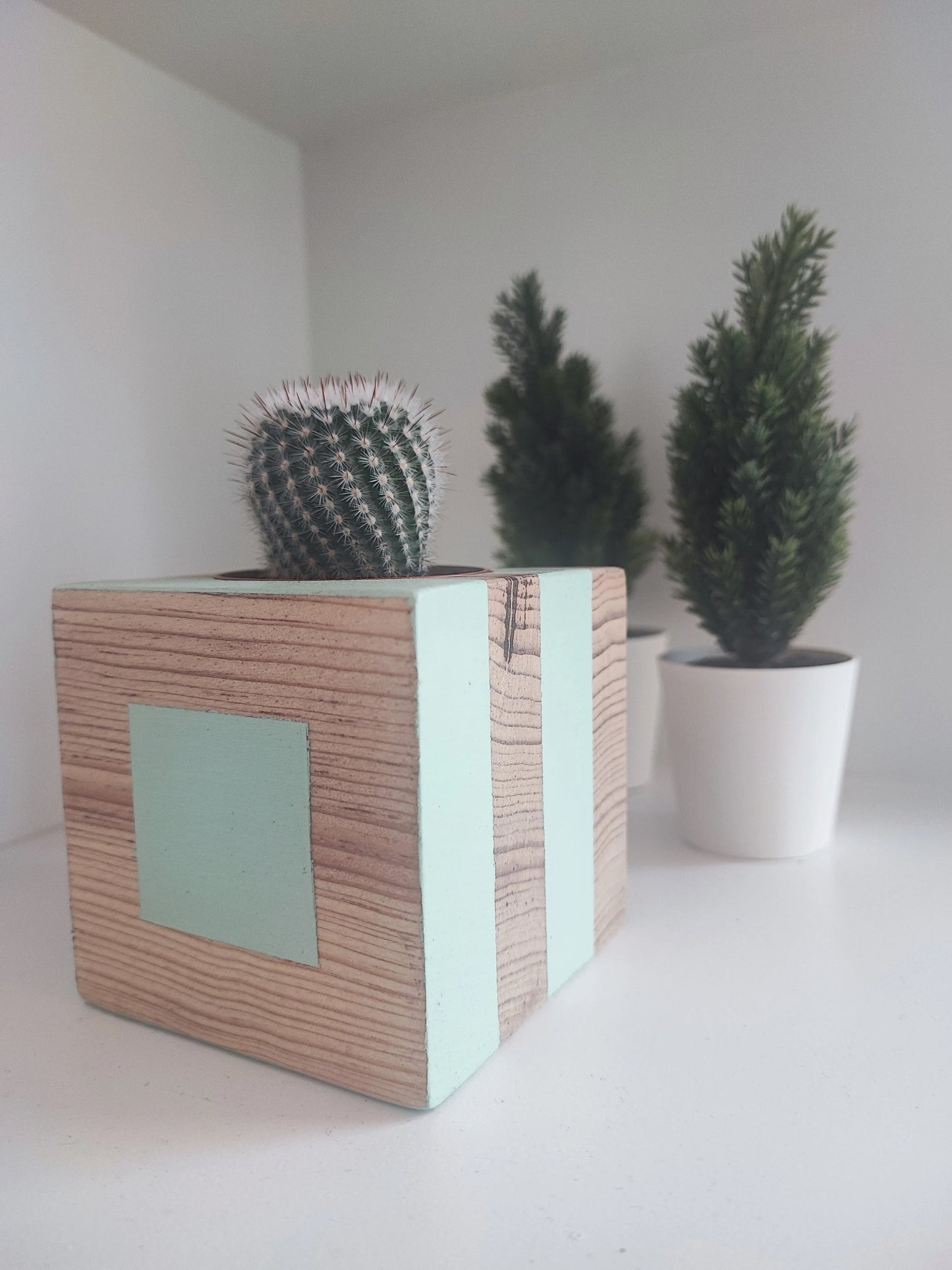 La belle Jade Tacoceta